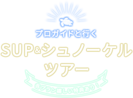 伊良部島マリンガイドマハロ