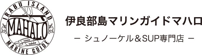 伊良部島マリンガイドマハロ｜宮古島でシュノーケルやサップのツアーをご案内